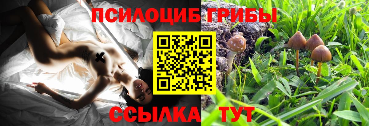 Лесосибирск  Галлюциногенные грибы GOLDEN TEACHER  Вход с VPN 